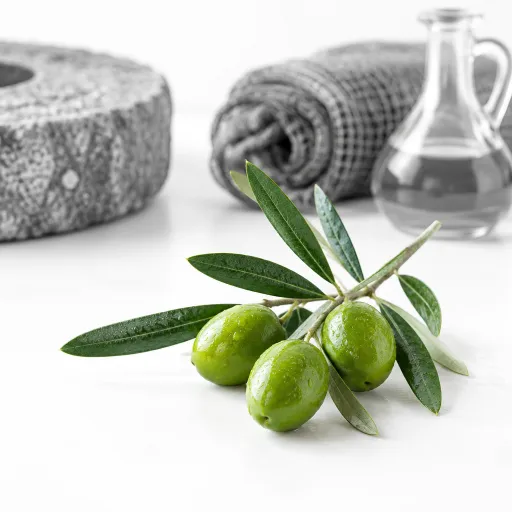 La récolte des olives en Provence : moulins, AOC et le geste de novembre qu'on prépare dès octobre