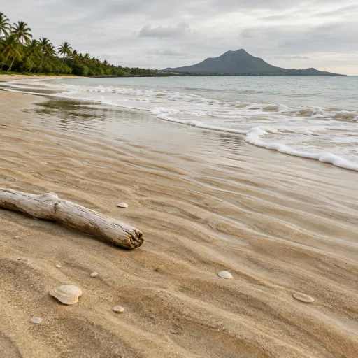 Juillet en Martinique : les plages qui se vident, les prix qui baissent et ce qu'on y gagne