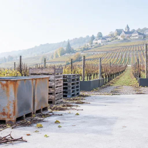 La Côte après les vendanges : ce qui reste à voir quand les cars sont repartis