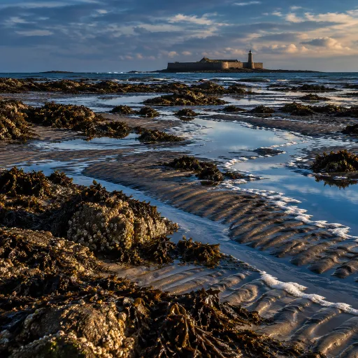 Saint-Vaast-la-Hougue et l'île Tatihou : l'escapade à marée basse que personne ne regrette