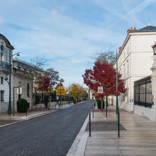 L'avenue de Champagne à Épernay et ses grilles de maisons de champagne en automne