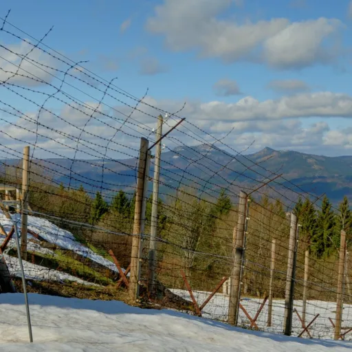 Clôtures de barbelés de l'ancien camp de concentration de Natzweiler-Struthof face aux Vosges