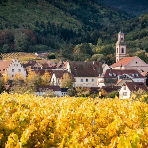 Le village de Riquewihr et ses toits derrière les vignes dorées d'automne