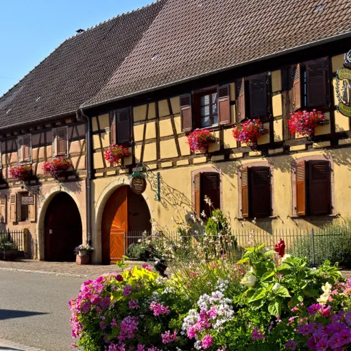 Maison à colombages fleurie de géraniums à Eguisheim, en Alsace