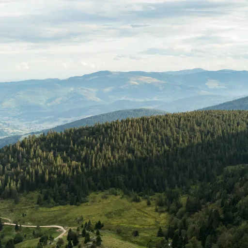Panorama sur les crêtes et les forêts du massif des Vosges, le long de la Route des Crêtes