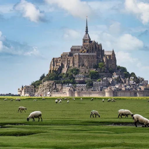 Moutons de pré-salé dans la baie, face au Mont-Saint-Michel