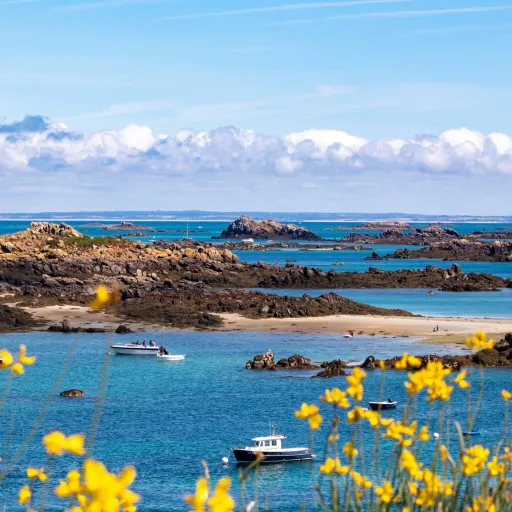 Bateaux au mouillage entre les rochers de granit de l'archipel de Chausey, ajoncs en fleurs au premier plan