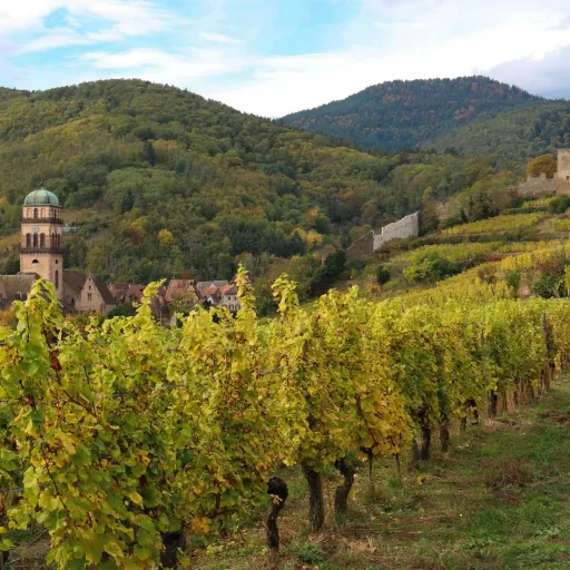 Vignoble alsacien aux couleurs d’automne, village et ruines de château au pied des Vosges