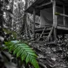 Le sentier Molokoï : 18 km de forêt primaire et une nuit en carbet, le plus long trek balisé de Guyane