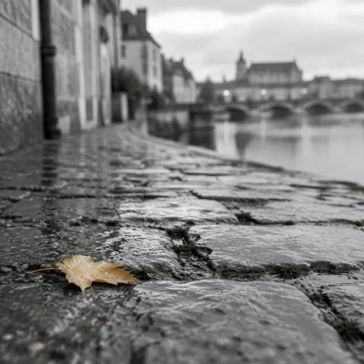 Quel événement à Blois aujourd’hui pour sublimer votre séjour en Val de Loire