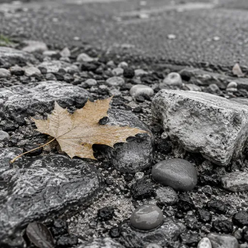Macadam à Blois : l’urban trail qui réinvente le cœur blésois